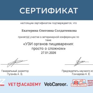 -5420443719527241229_121 (1)