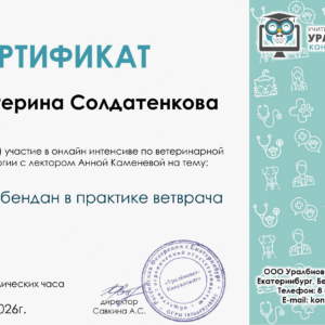 Сертификат-2-1