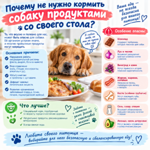 кормить собаку